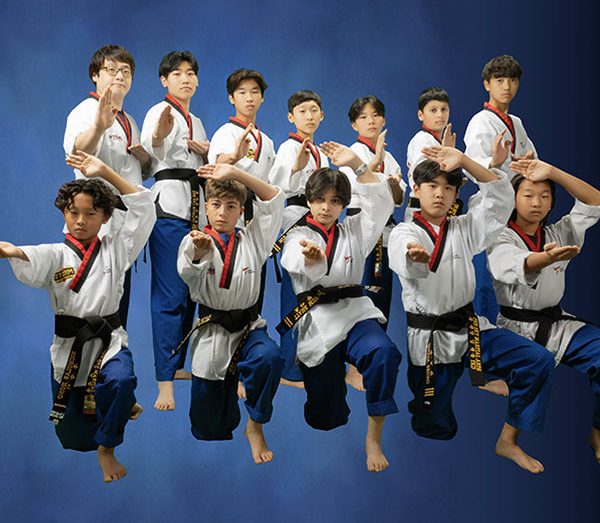 TaeKwanDo-Team