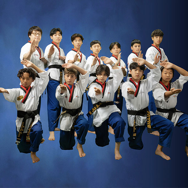 TaeKwanDo-Team